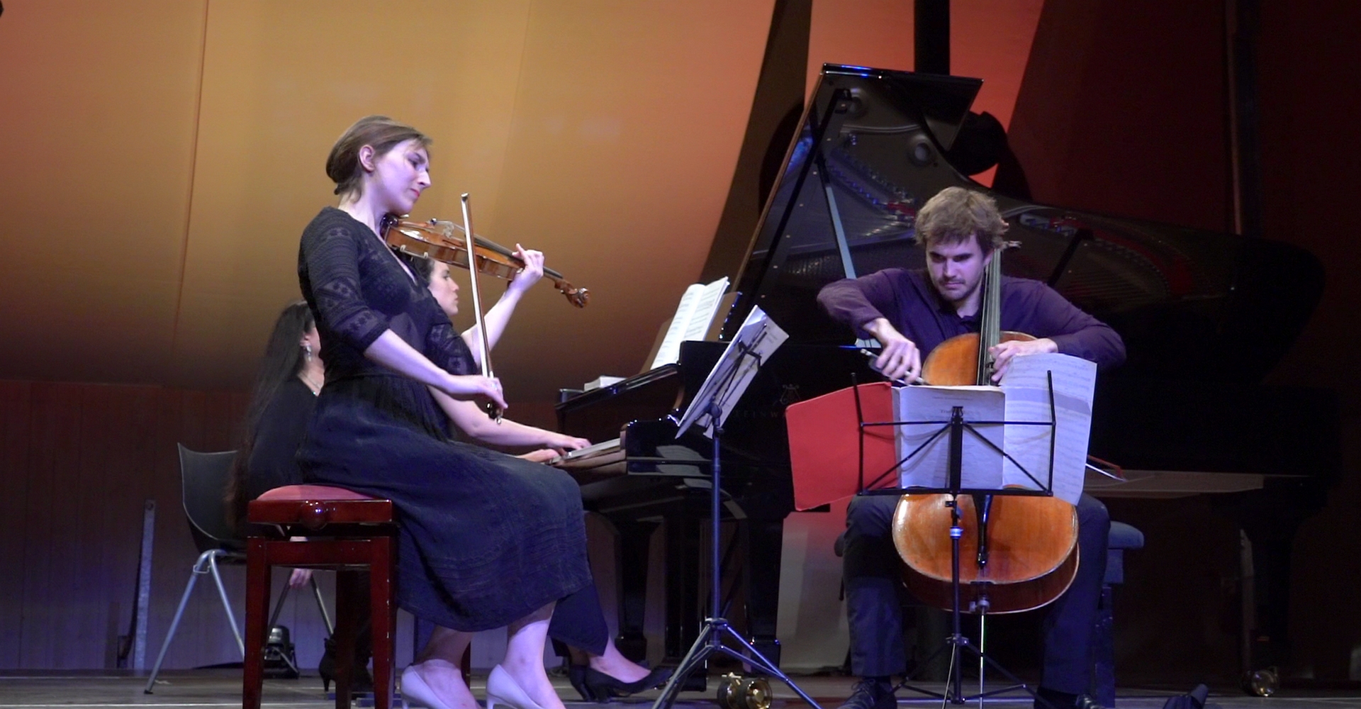Trio Karenine