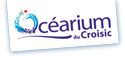 L'océarium du Croisic