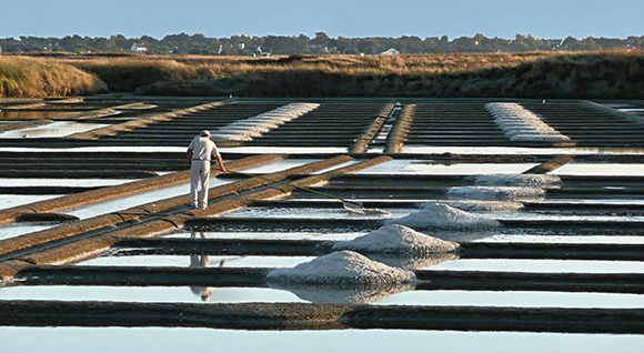 Marais salants de Guérande